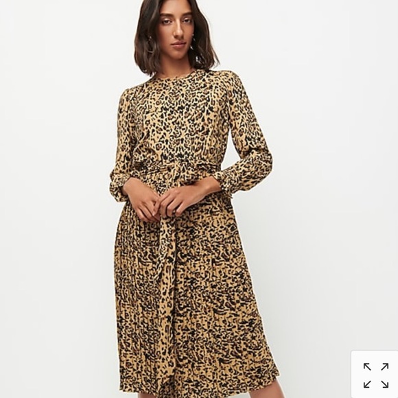 j crew leopard dress